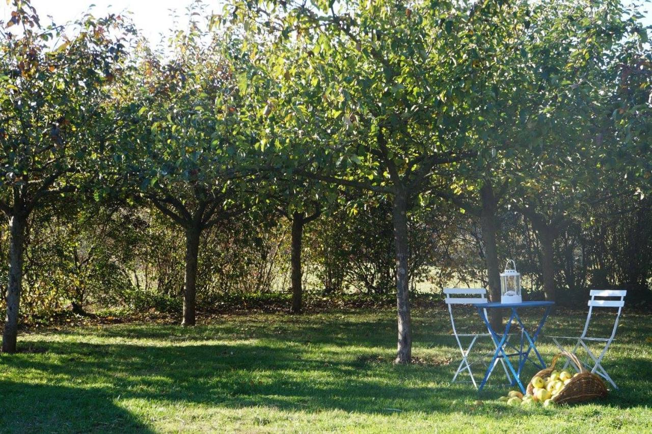 L'Escale du Bocage Piscine couverte chauffée La Flocellière Esterno foto